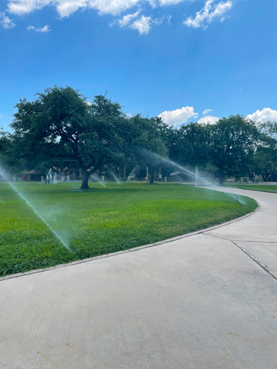 A view of large lawn with several large trees and multiple in-ground sprinklers watering the grass. A cement path curves around the lawn.