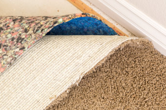 Flooring: Carpet Cushion