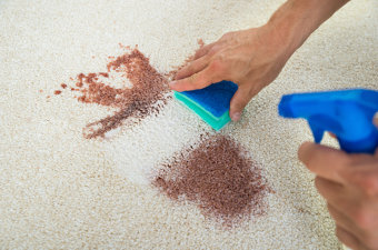 Carpet and Upholstery Cleaners, Spot Removers