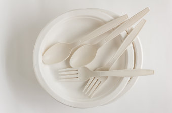 Disposable Tableware  