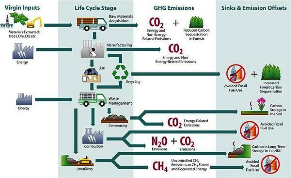 Product Life Cycle