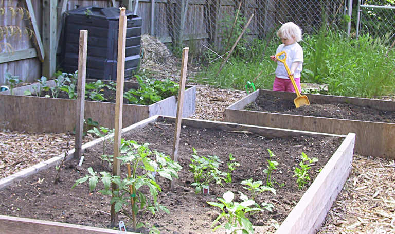 Playground Planted Area