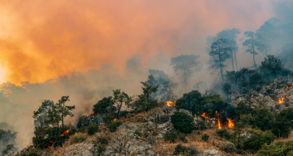 Decorative image for Climate Risk Management that shows a wildfire on a mountain