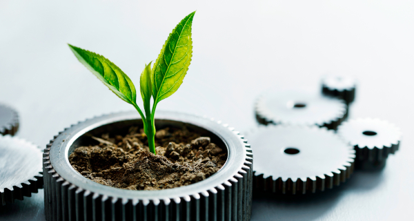 Decorative image for Sustainable Procurement Strategies that shows a plant growing out of the center of a gear surrounded by other gears