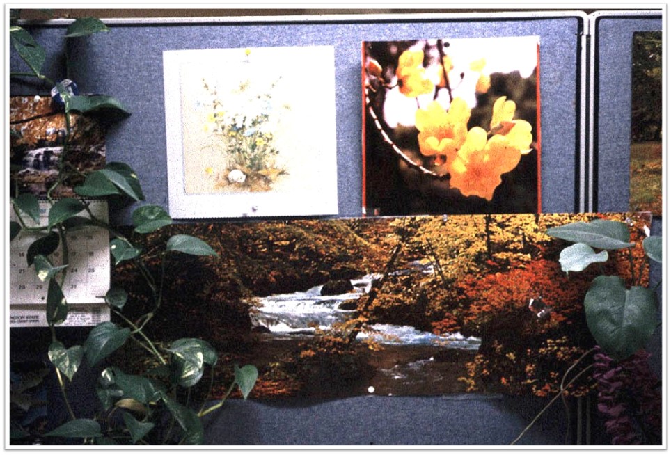 Posters of nature from a windowless work area